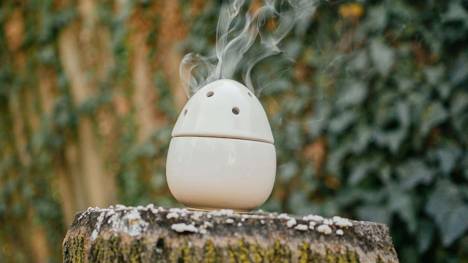 pexels-furkanfdemir-10821243