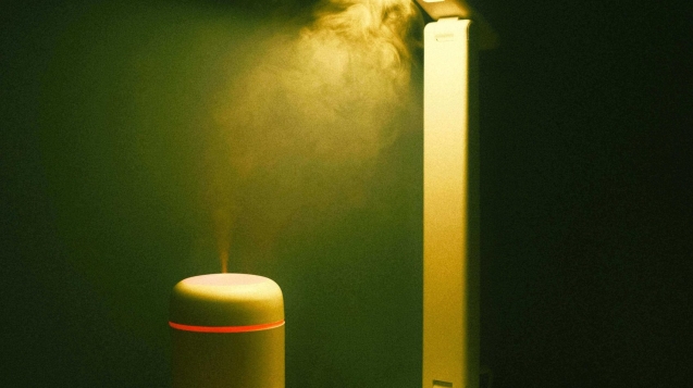 pexels-kabir-sarania-2380259-15519510 (1)