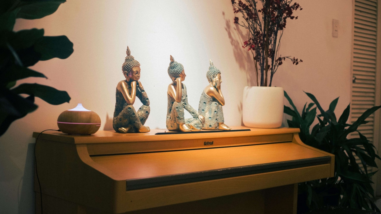 pexels-donghuangmingde-2313002 (1)